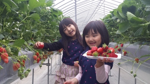 20150506_170404.jpg